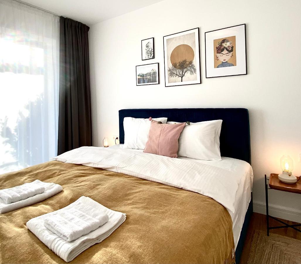 Cosy Hollow - Pet Friendly Brasov Ngoại thất bức ảnh