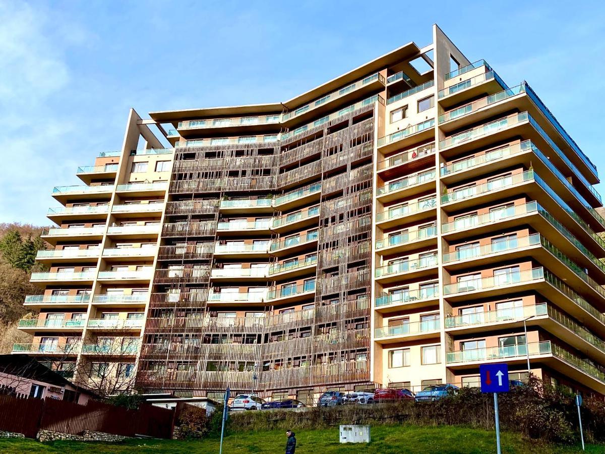 Cosy Hollow - Pet Friendly Brasov Ngoại thất bức ảnh