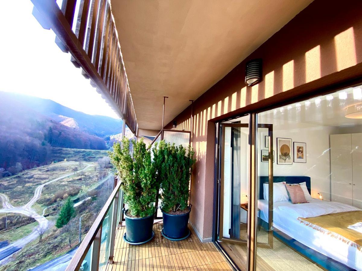 Cosy Hollow - Pet Friendly Brasov Ngoại thất bức ảnh