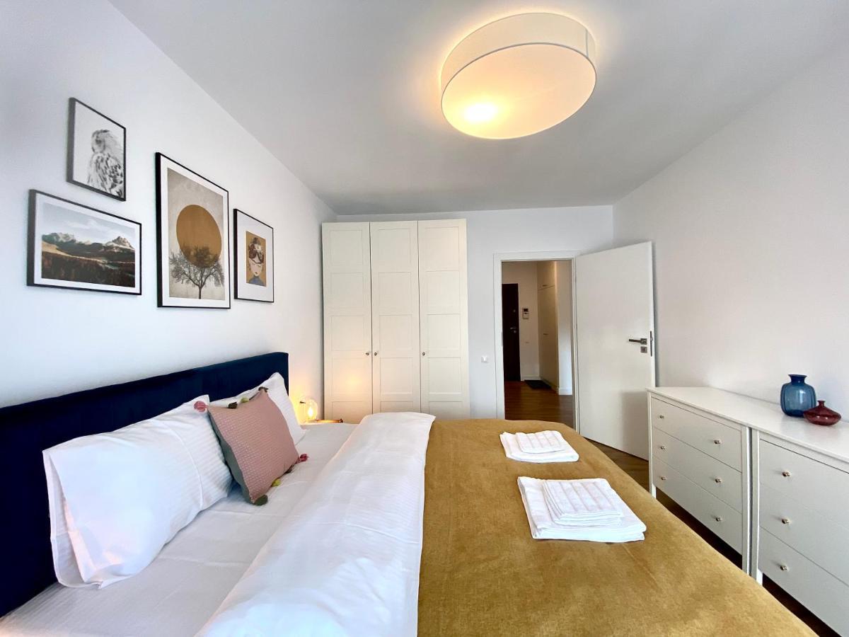 Cosy Hollow - Pet Friendly Brasov Ngoại thất bức ảnh