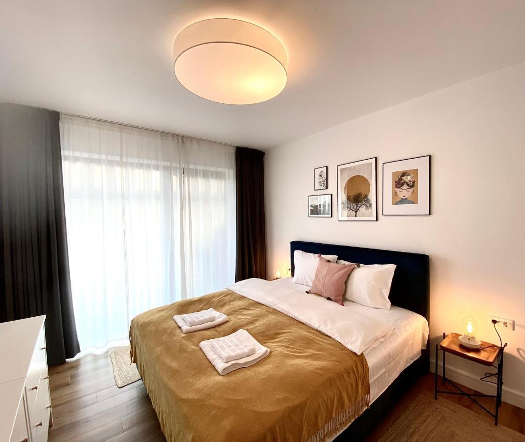 Cosy Hollow - Pet Friendly Brasov Ngoại thất bức ảnh