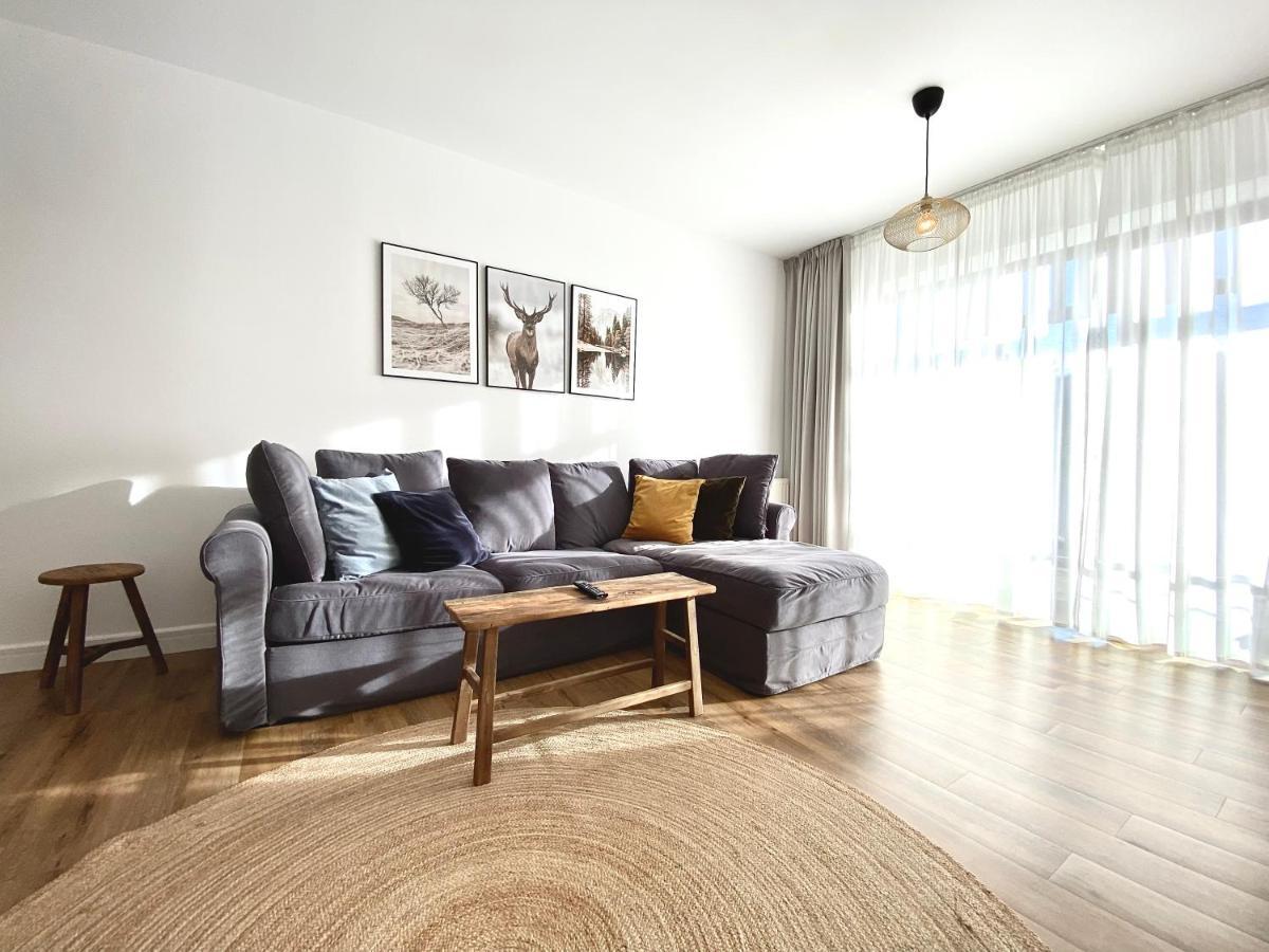 Cosy Hollow - Pet Friendly Brasov Ngoại thất bức ảnh