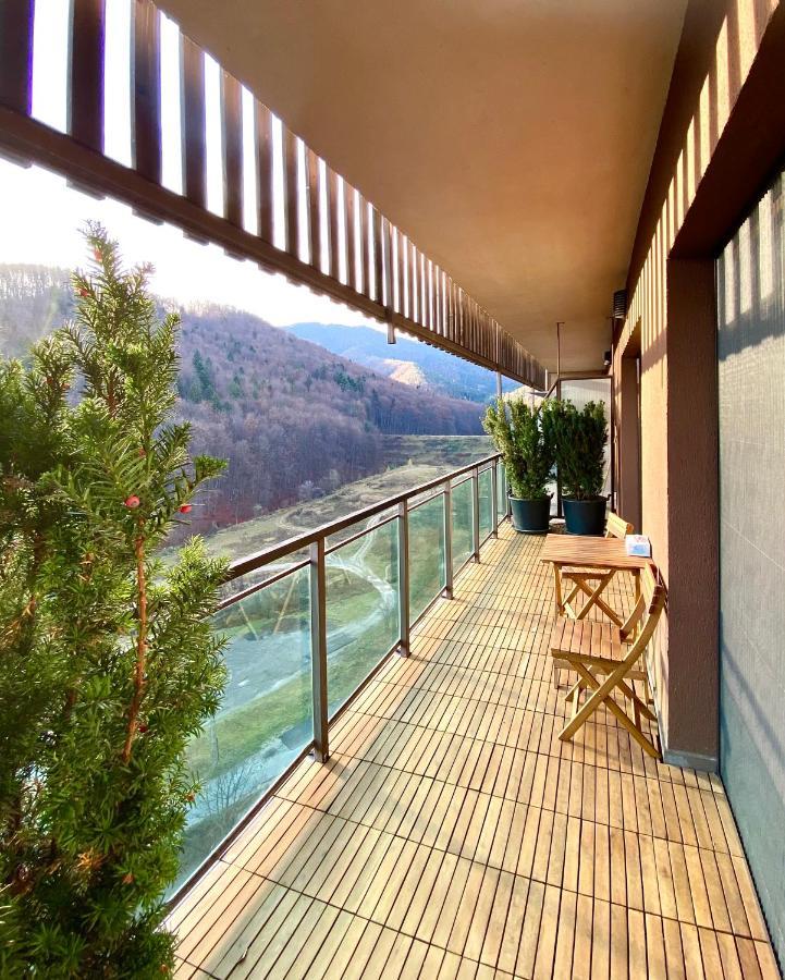 Cosy Hollow - Pet Friendly Brasov Ngoại thất bức ảnh